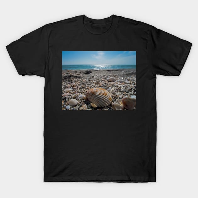 Sanibel Island Sea Shell Fort Myers Florida T-Shirt by WayneOxfordPh
